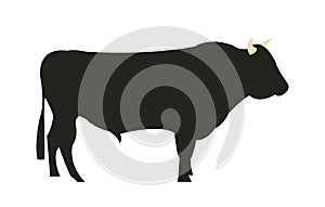 Wagyu Chilean bull silhouette photo