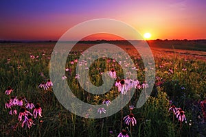 Wah`Kon-Tah Prairie at Sunset