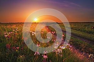 Wah`Kon-Tah Prairie Sunset with Wildflowers