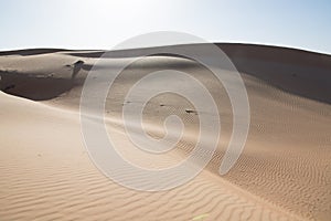 Wahibah Sands Dune Bashing