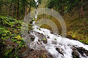 Wahkeena Falls at Columbia river Gorge , oregon