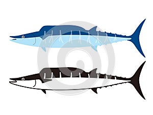Wahoo fish, sider view, vector illustration