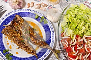 Wahoo grilled fish meal photo