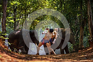 Wai Kru, boxing music. Boxing Fighting with Big elephants is the background. Krapho, Tha Tum District, Surin, Thailand