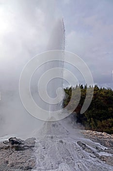 Wai-O-Tapu Lady Knox geyser in Rotorua, New Zealand