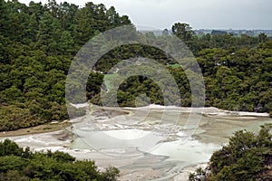 Wai-O-Tapu Lake Ngakoro in Rotorua, New Zealand