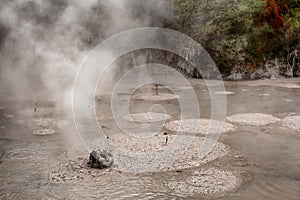 Wai-O-Tapu Thermal Park