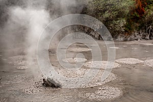 Wai-O-Tapu Thermal Park