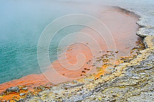 Wai-O-Tapu Thermal Wonderland New Zealand