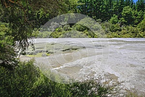 Wai-O-Tapu Thermal Wonderland, Rotorua, New Zealand