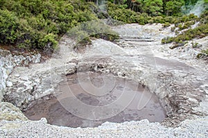 Wai-O-Tapu Thermal Wonderland which is located in Rotorua, New Zealand.