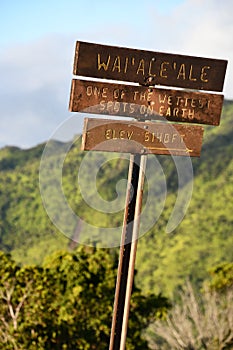 WaiAleAle - one of the wettest spots on Earth - at Waimea Canyon State Park on the island of Kauai in Hawaii