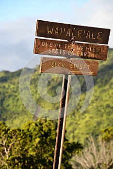 WaiAleAle - one of the wettest spots on Earth - at Waimea Canyon State Park on the island of Kauai in Hawaii photo