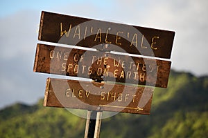 WaiAleAle - one of the wettest spots on Earth - at Waimea Canyon State Park on the island of Kauai in Hawaii photo
