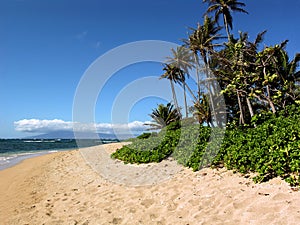 Waialua Beach Molokai Hawaii