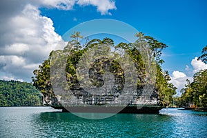 Waigeo, Kri, Mushroom Island, group of small islands in shallow blue lagoon water