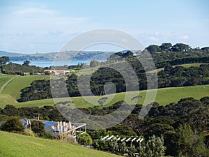 Waiheke island