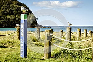 Waihi beach Coromandel Peninsula New Zealand NZ