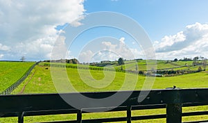 Waikato farmland expansive green fields marked out by dark wooden fences