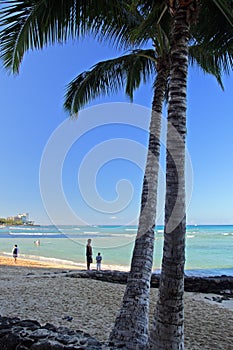 Waikiki Beach, Honolulu, Oahu, Hawaii