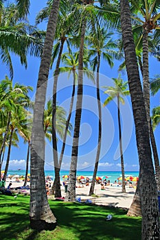 Waikiki Beach, Honolulu, Oahu, Hawaii