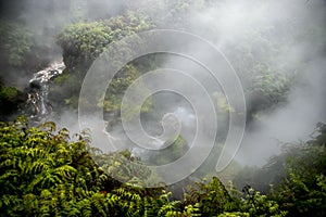 Waikite hot stream and terraces, volcanic valley