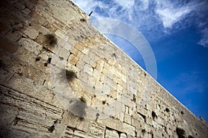 The Wailing Wall