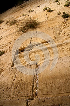 The Wailing Wall