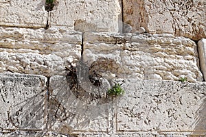 The Wailing Wall is part of the ancient wall around the western slope of the Temple Mount in the Old City of Jerusalem