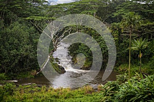 The Wailua River fed continuously from rainfall and the swamps at the top of Mount Waialeale.