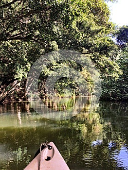 Wailua River on the Island of Kaui