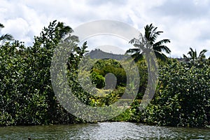 Wailua River on Kauai Island in Hawaii