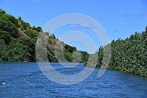 Wailua River on Kauai Island in Hawaii