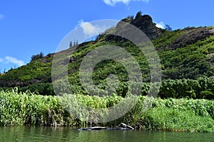 Wailua River on Kauai Island in Hawaii