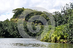 Wailua River on Kauai Island in Hawaii