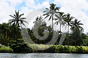 Wailua River on Kauai Island in Hawaii