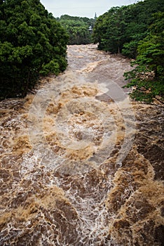 Wailuku River in Hilo photo