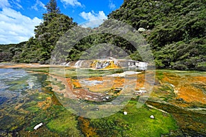 Waimangu Volcanic Rift Valley