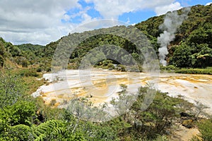 Waimangu volcanic valley
