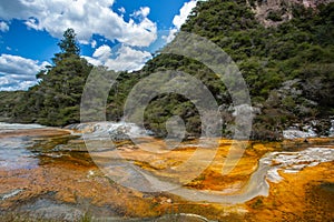 Waimangu Volcanic Valley photo