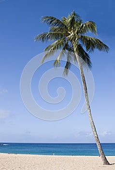 Waimea bay, oahu, hawaii