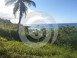 Waimea Bay