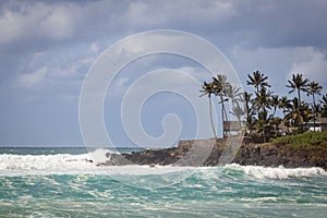 Waimea Bay Seascape with Palm Trees