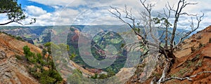 Waimea Canyon, Kauai, Hawaii.