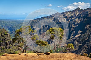 Waimea Canyon, Kauai, Hawaii.