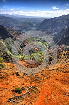 Waimea Canyon - Kauai - Hawaii