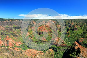 Waimea Canyon State Park