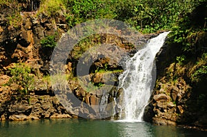 Waimea Valley Waterfall, Oahu Hawaii