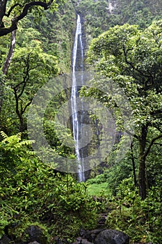 Waimoku Falls, Pipiwai trail, Kipahulu state park, Maui, Hawaii