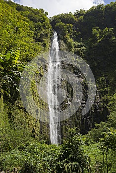 Waimoku Falls tall waterfall along the Pipiwai trail in Maui, Hawaii